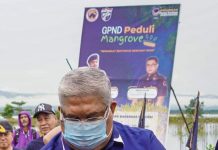 Gubernur Ali Mazi Hadiri Penanaman Mangrove Serentak GPND di Tujuh Provinsi Gubernur Sultra Ali mazi