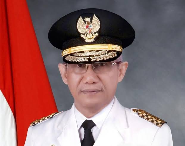 Wakil Gubernur Sultra
