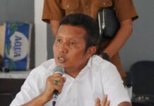 Kebijakan 200 Triliun untuk Himbara Dinilai Melemahkan Ekonomi Daerah