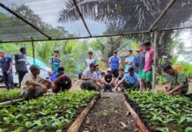 Kaongkeongkea Menuju Kampung Kopi: Petani Muda Jadi Penggerak Utama Kebangkitan Robusta Buton