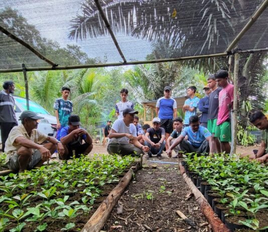 Kaongkeongkea Menuju Kampung Kopi: Petani Muda Jadi Penggerak Utama Kebangkitan Robusta Buton