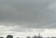 Atap Rumah Warga Terbang, Cuaca Ekstrem Melanda Baubau