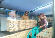 Jaga Inflasi Akhir Tahun, Pemkot Baubau Hadirkan Pasar Murah