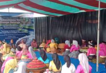 Pesta Adat Pakandeana Tao Kampo Perdana Digelar di Bandar Batauga, Warga Rayakan Syukur Panen